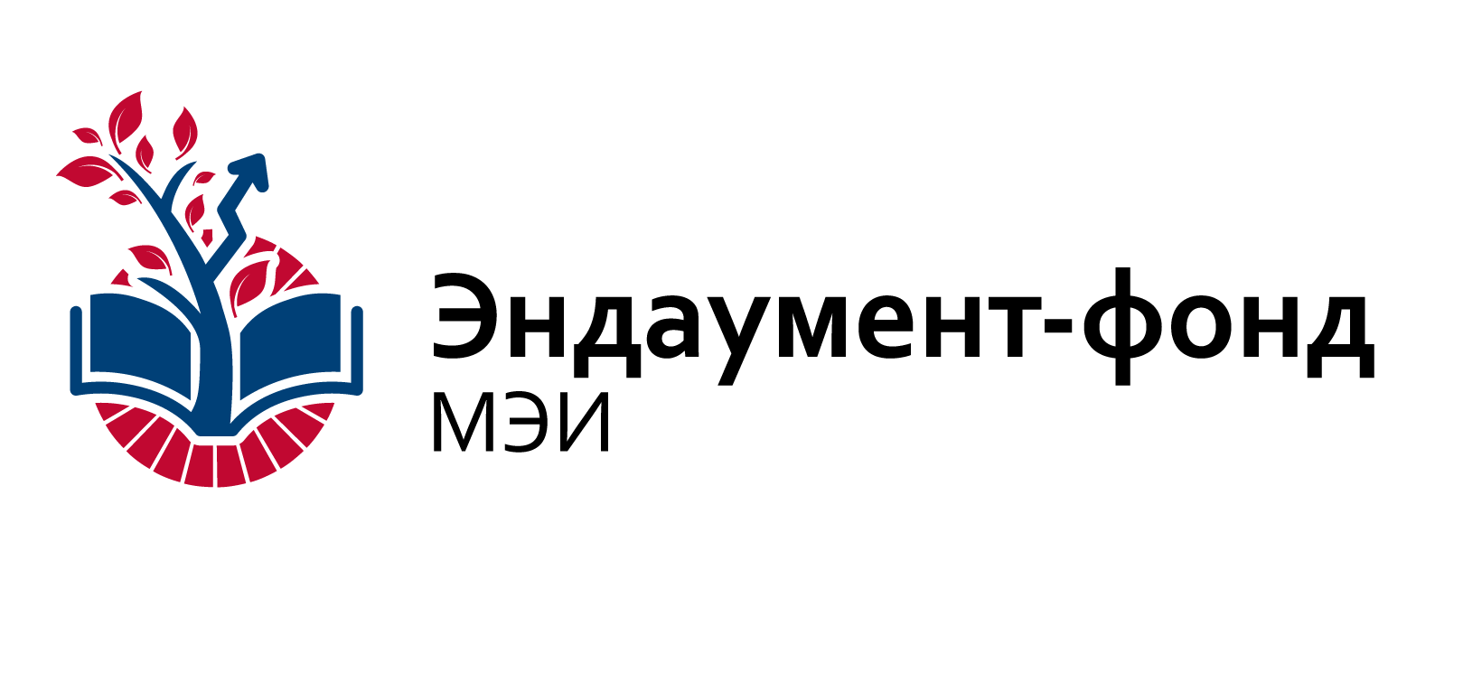 Поиск_лого_эндаумент_фонд_МЭИ_Монтажная_область_1_копия.png