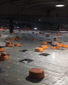 10.gif